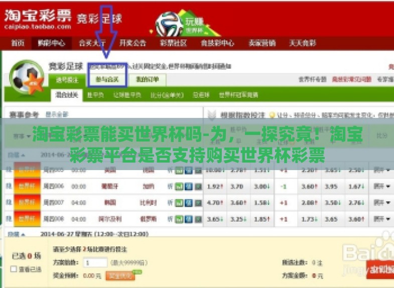 淘宝彩票能买世界杯吗-为，一探究竟！淘宝彩票平台是否支持购买世界杯彩票