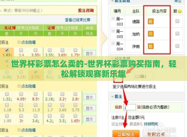 世界杯彩票怎么卖的-世界杯彩票购买指南，轻松解锁观赛新乐趣