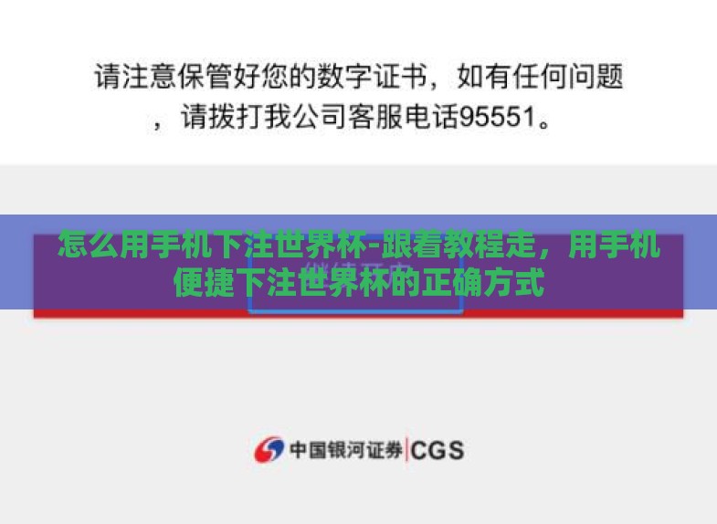 怎么用手机下注世界杯-跟着教程走，用手机便捷下注世界杯的正确方式