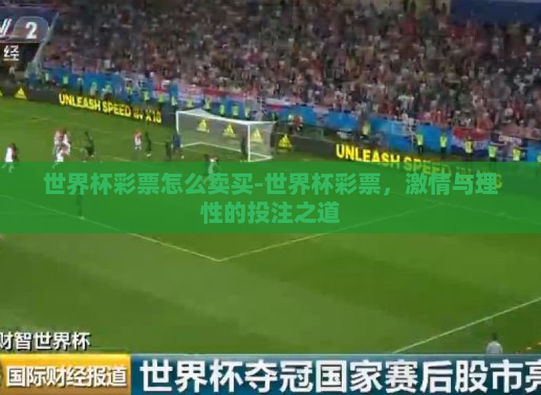 世界杯彩票怎么卖买-世界杯彩票,激情与理性的投注之道 世界杯彩票怎么卖买-世界杯彩票,激情与理性的投注之道