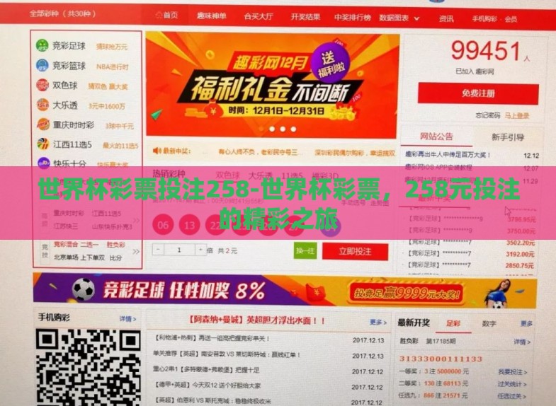 世界杯彩票投注258-世界杯彩票，258元投注的精彩之旅