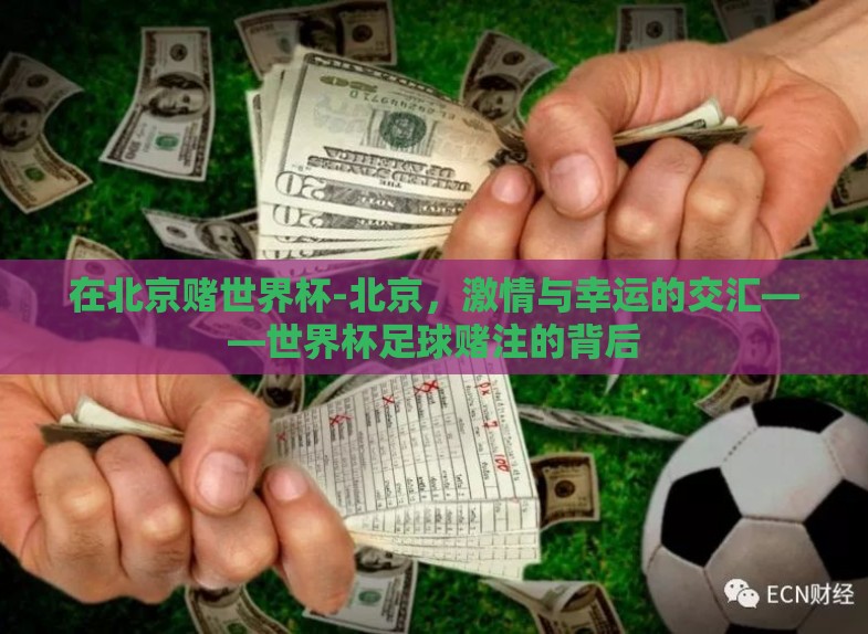 在北京赌世界杯-北京，激情与幸运的交汇——世界杯足球赌注的背后