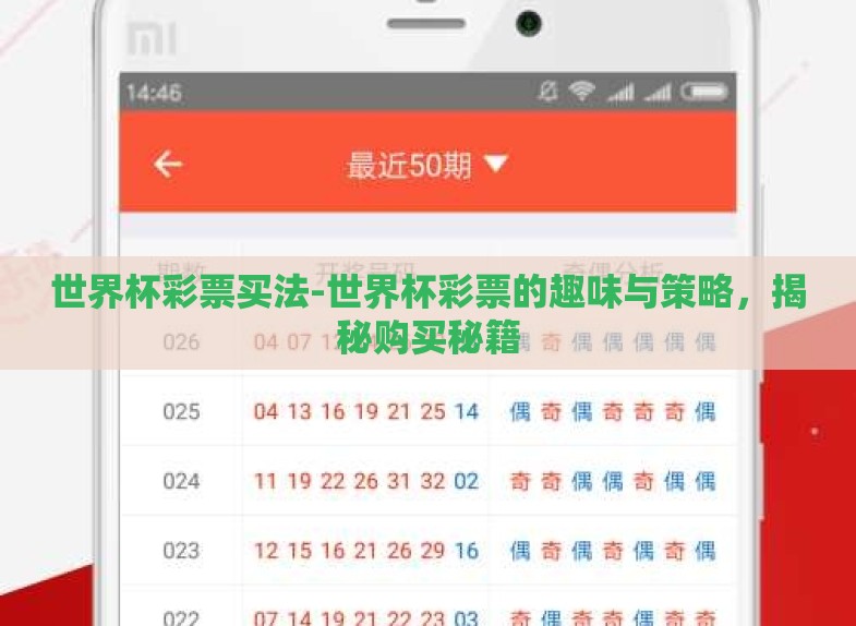 世界杯彩票买法-世界杯彩票的趣味与策略，揭秘购买秘籍