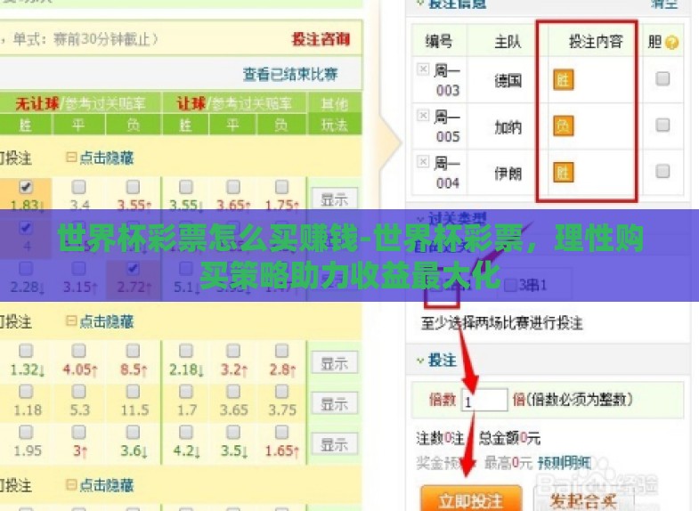 世界杯彩票怎么买赚钱-世界杯彩票,理性购买策略助力收益最大化 世界杯彩票怎么买赚钱-世界杯彩票,理性购买策略助力收益最大化