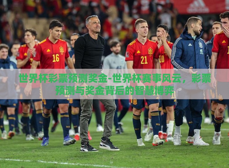 世界杯彩票预测奖金-世界杯赛事风云,彩票预测与奖金背后的智慧博弈 世界杯彩票预测奖金-世界杯赛事风云,彩票预测与奖金背后的智慧博弈