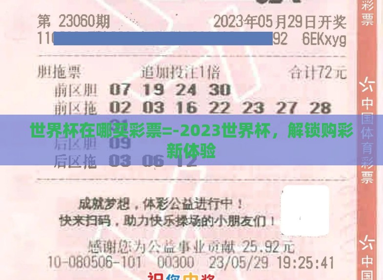 世界杯在哪买彩票=-2023世界杯，解锁购彩新体验