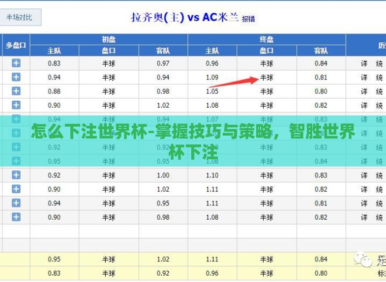 怎么下注世界杯-掌握技巧与策略,智胜世界杯下注 怎么下注世界杯-掌握技巧与策略,智胜世界杯下注
