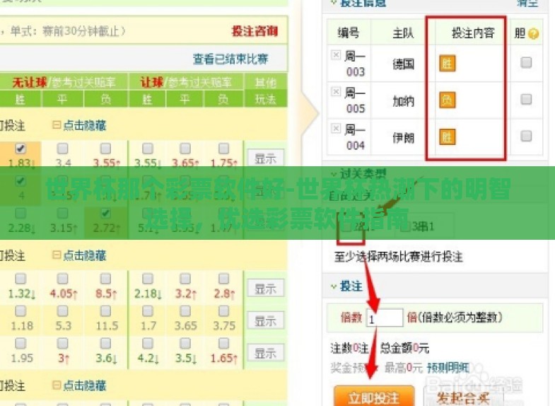 世界杯那个彩票软件好-世界杯热潮下的明智选择，优选彩票软件指南