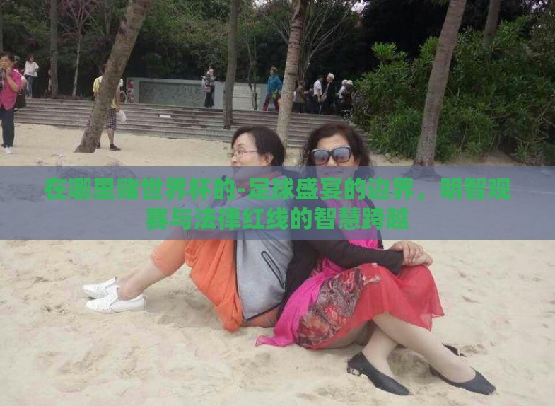 在哪里赌世界杯的-足球盛宴的边界，明智观赛与法律红线的智慧跨越