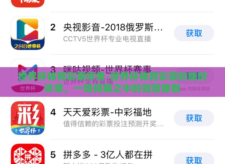 世界杯体育彩票停售-世界杯体育彩票的临时休章，一场预期之中的短暂静默