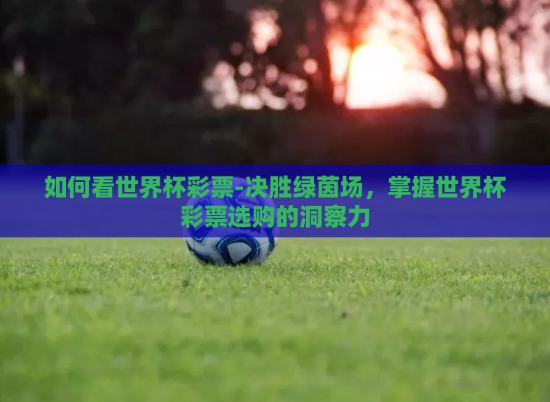 如何看世界杯彩票-决胜绿茵场,掌握世界杯彩票选购的洞察力 如何看世界杯彩票-决胜绿茵场,掌握世界杯彩票选购的洞察力