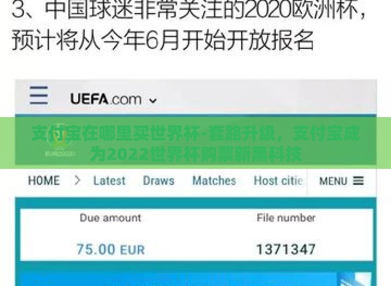 支付宝在哪里买世界杯-套路升级,支付宝成为2022世界杯购票新黑科技 支付宝在哪里买世界杯-套路升级,支付宝成为2022世界杯购票新黑科技