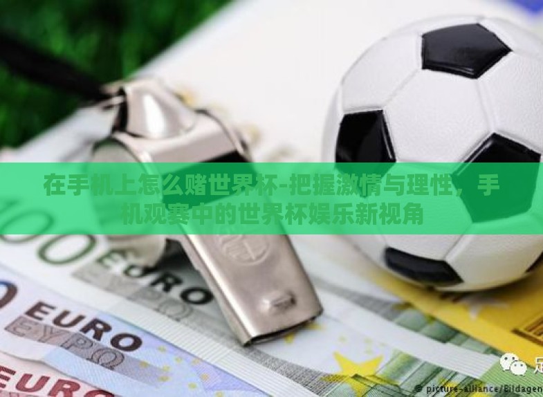 在手机上怎么赌世界杯-把握激情与理性，手机观赛中的世界杯娱乐新视角