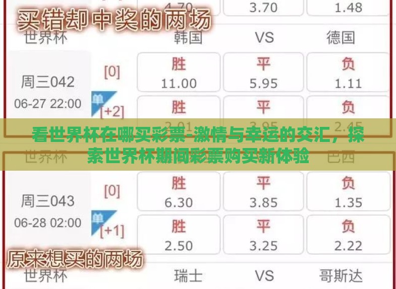 看世界杯在哪买彩票-激情与幸运的交汇,探索世界杯期间彩票购买新体验 看世界杯在哪买彩票-激情与幸运的交汇,探索世界杯期间彩票购买新体验