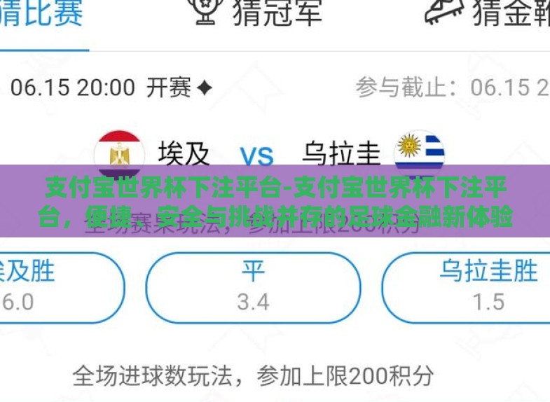 支付宝世界杯下注平台-支付宝世界杯下注平台，便捷、安全与挑战并存的足球金融新体验