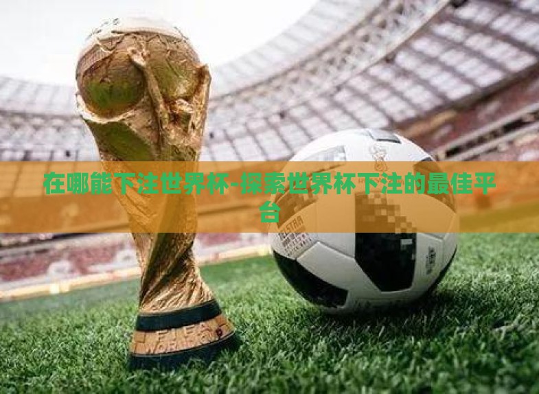 在哪能下注世界杯-探索世界杯下注的最佳平台 在哪能下注世界杯-探索世界杯下注的最佳平台