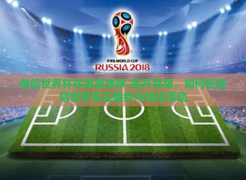 微信世界杯在哪里赌球-揭开真相，如何在微信世界杯正确参与观球活动