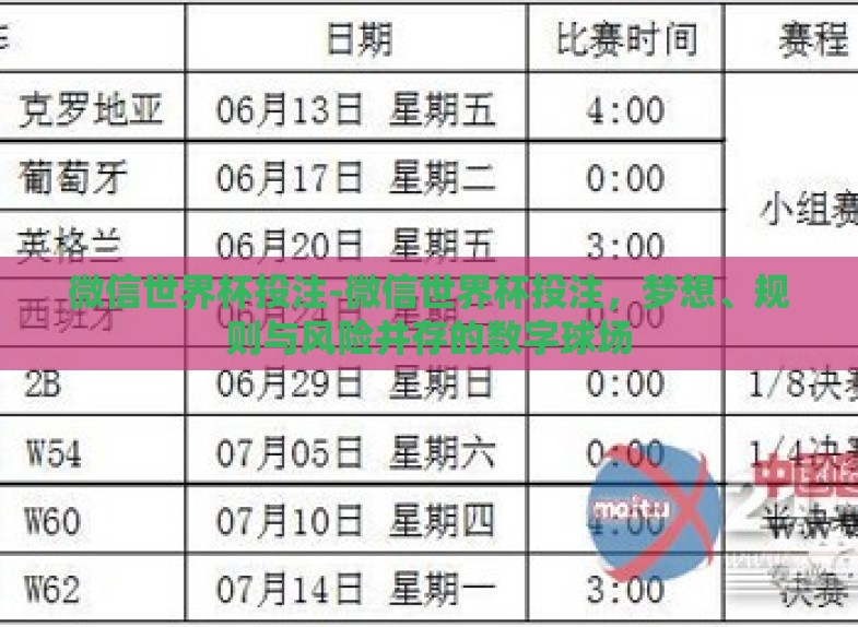 微信世界杯投注-微信世界杯投注，梦想、规则与风险并存的数字球场