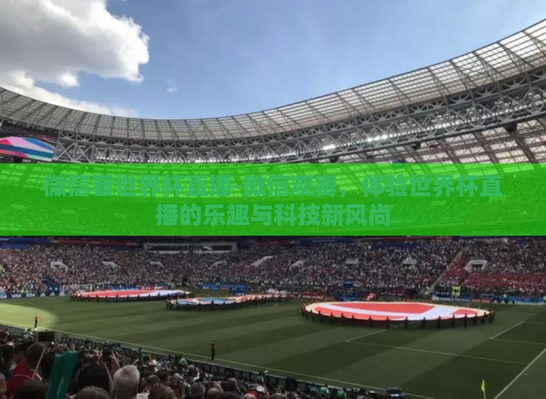 微信看世界杯直播-微信观赛,体验世界杯直播的乐趣与科技新风尚 微信看世界杯直播-微信观赛,体验世界杯直播的乐趣与科技新风尚