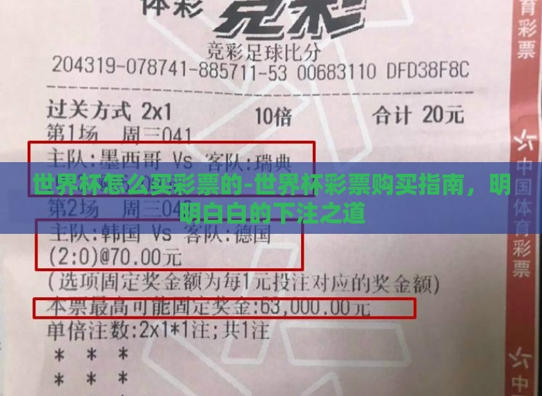 世界杯怎么买彩票的-世界杯彩票购买指南,明明白白的下注之道 世界杯怎么买彩票的-世界杯彩票购买指南,明明白白的下注之道