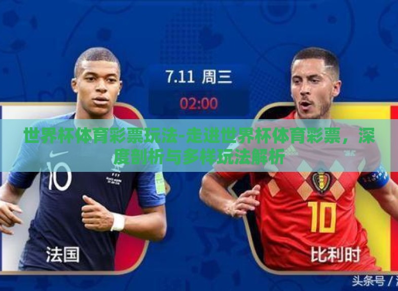 世界杯体育彩票玩法-走进世界杯体育彩票，深度剖析与多样玩法解析