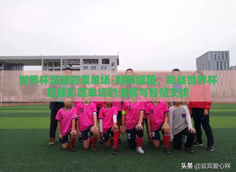 世界杯足球彩票单场-翱翔绿茵，挑战世界杯足球彩票单场的激情与智慧交织