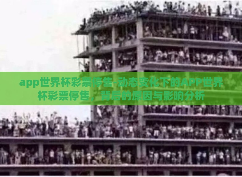 app世界杯彩票停售-动态变化下的APP世界杯彩票停售,背后的原因与影响分析 app世界杯彩票停售-动态变化下的APP世界杯彩票停售,背后的原因与影响分析