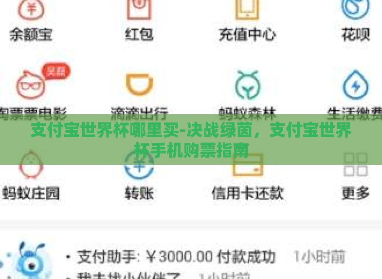 支付宝世界杯哪里买-决战绿茵,支付宝世界杯手机购票指南 支付宝世界杯哪里买-决战绿茵,支付宝世界杯手机购票指南