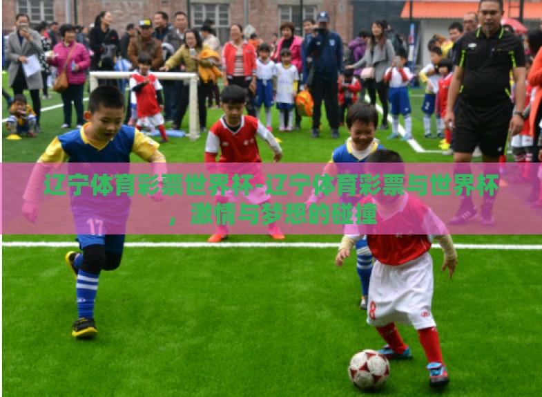 辽宁体育彩票世界杯-辽宁体育彩票与世界杯,激情与梦想的碰撞 辽宁体育彩票世界杯-辽宁体育彩票与世界杯,激情与梦想的碰撞