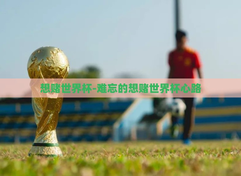 想赌世界杯-难忘的想赌世界杯心路