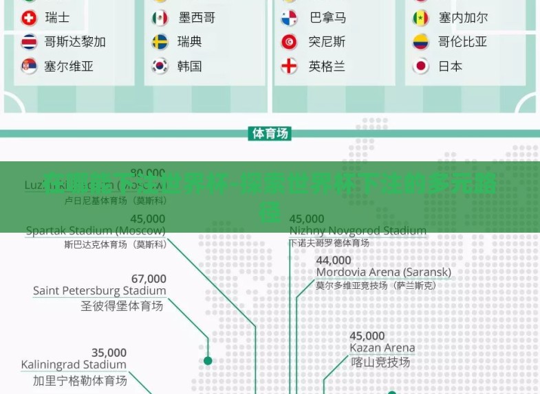 在哪能下注世界杯-探索世界杯下注的多元路径 在哪能下注世界杯-探索世界杯下注的多元路径