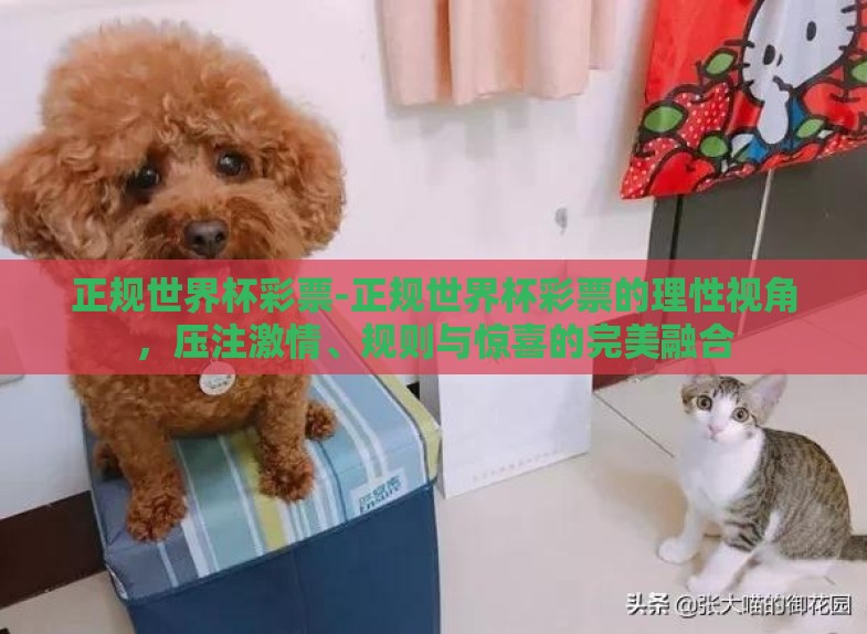 正规世界杯彩票-正规世界杯彩票的理性视角,压注激情、规则与惊喜的完美融合 正规世界杯彩票-正规世界杯彩票的理性视角,压注激情、规则与惊喜的完美融合