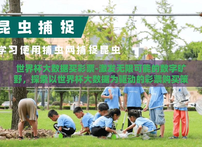 世界杯大数据买彩票-激发无限可能的数字旷野，探索以世界杯大数据为驱动的彩票购买策略