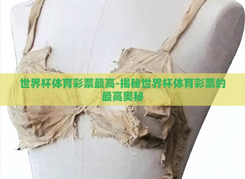 世界杯体育彩票最高-揭秘世界杯体育彩票的最高奥秘