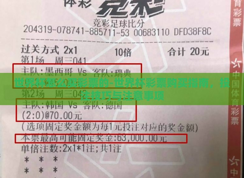 世界杯怎么买彩票的-世界杯彩票购买指南,投注技巧与注意事项 世界杯怎么买彩票的-世界杯彩票购买指南,投注技巧与注意事项