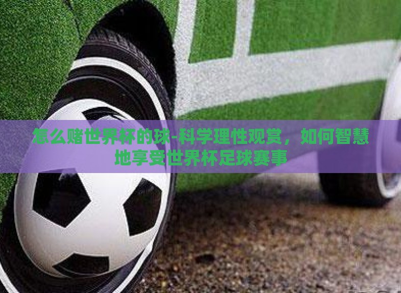 怎么赌世界杯的球-科学理性观赏,如何智慧地享受世界杯足球赛事 怎么赌世界杯的球-科学理性观赏,如何智慧地享受世界杯足球赛事