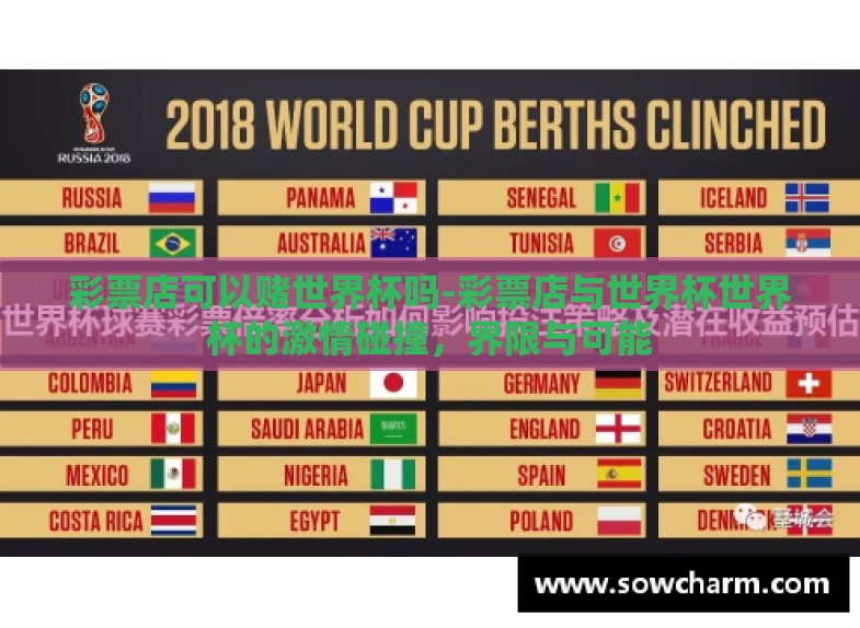 彩票店可以赌世界杯吗-彩票店与世界杯世界杯的激情碰撞,界限与可能 彩票店可以赌世界杯吗-彩票店与世界杯世界杯的激情碰撞,界限与可能