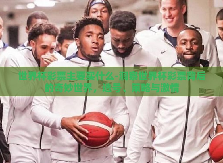 世界杯彩票主要买什么-洞察世界杯彩票背后的奇妙世界,选号、策略与激情 世界杯彩票主要买什么-洞察世界杯彩票背后的奇妙世界,选号、策略与激情