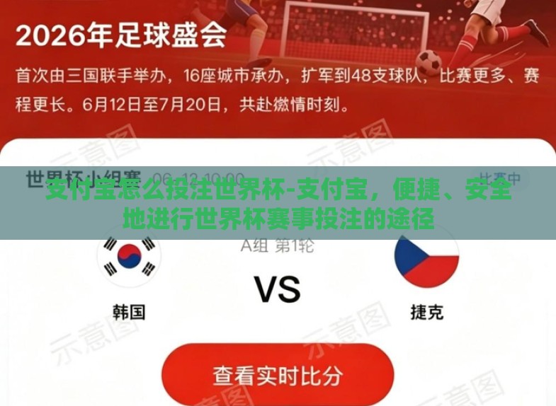 支付宝怎么投注世界杯-支付宝，便捷、安全地进行世界杯赛事投注的途径
