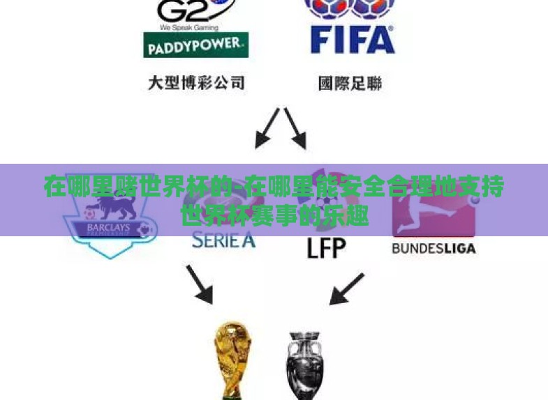在哪里赌世界杯的-在哪里能安全合理地支持世界杯赛事的乐趣