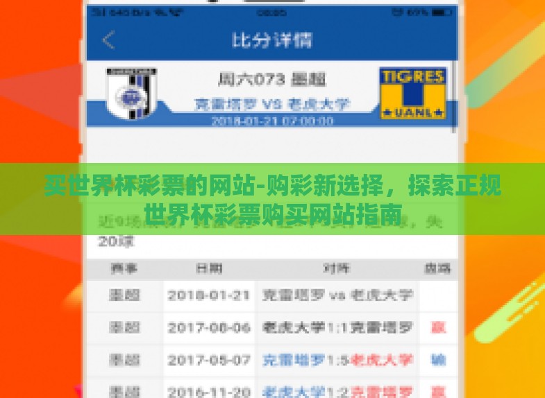 买世界杯彩票的网站-购彩新选择，探索正规世界杯彩票购买网站指南